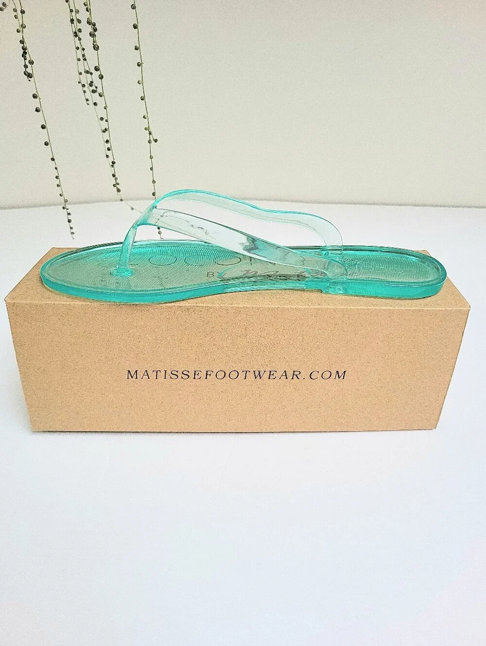 Coconuts by Matisse coconuts by